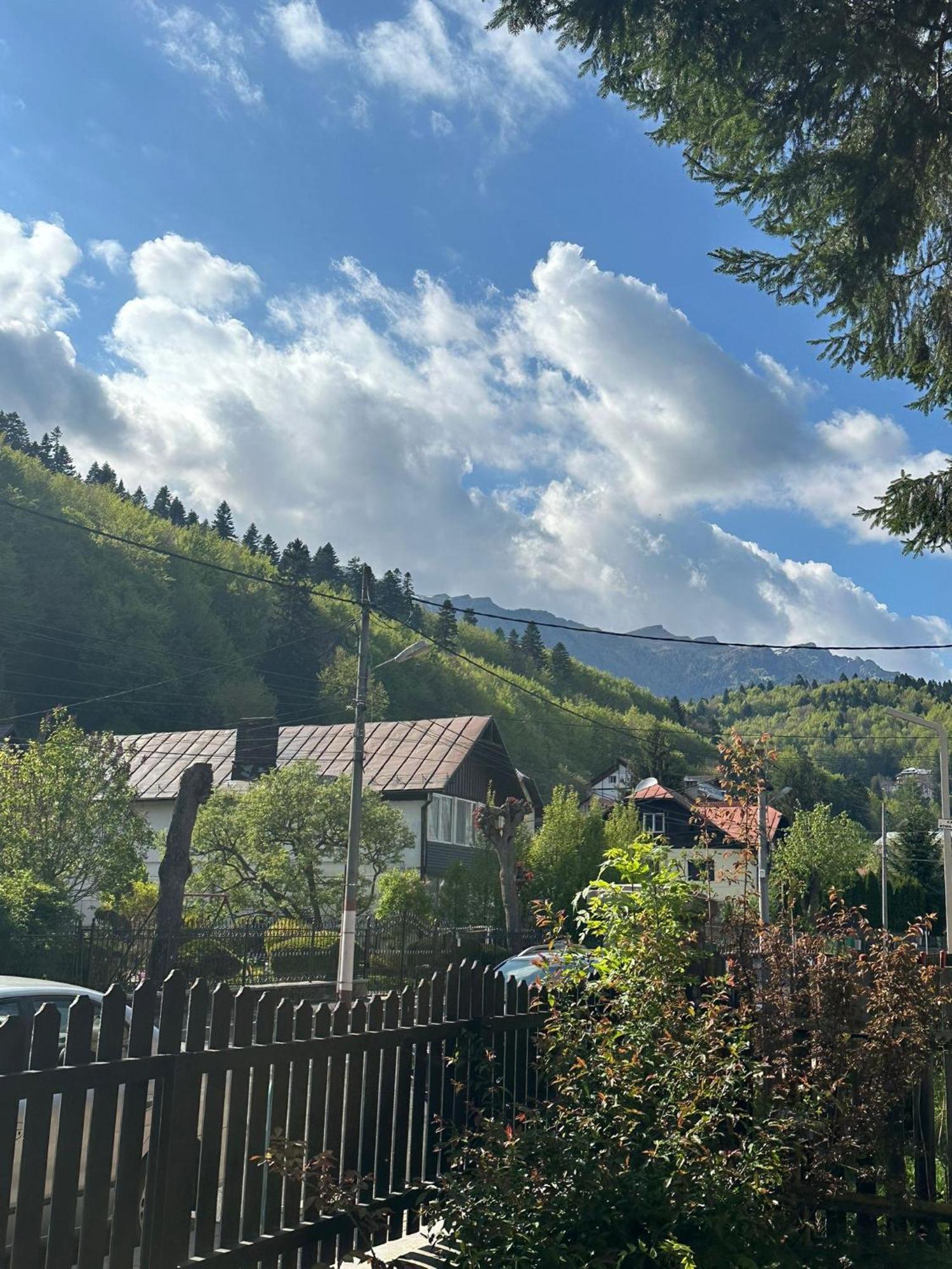 Rapsodia Sinaia Panzió Kültér fotó