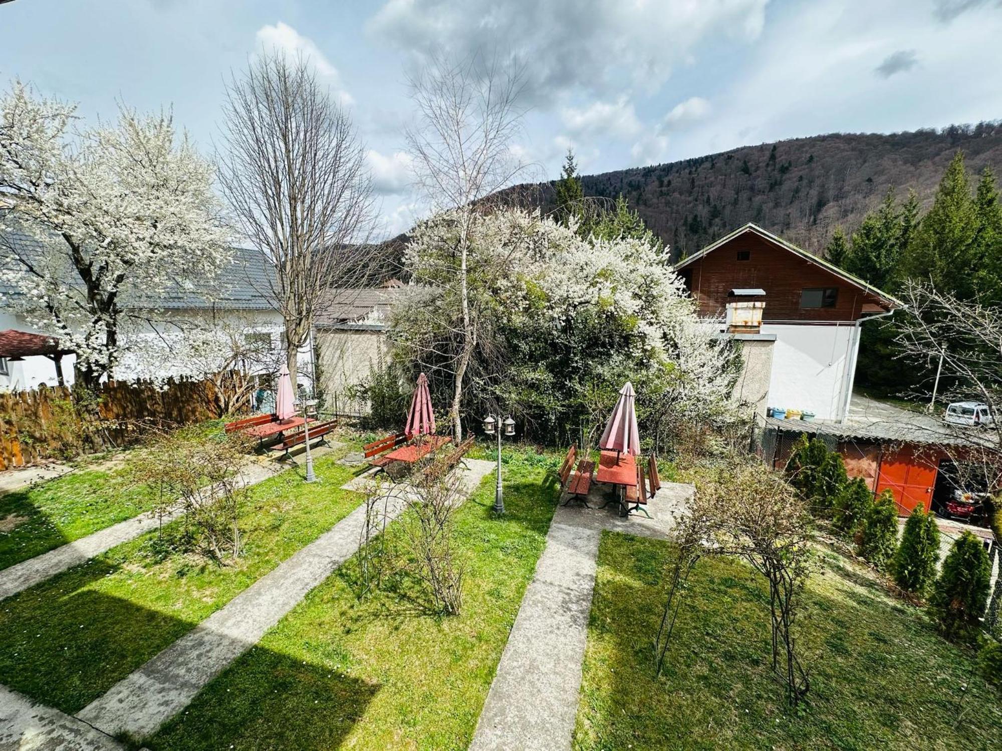 Rapsodia Sinaia Panzió Kültér fotó