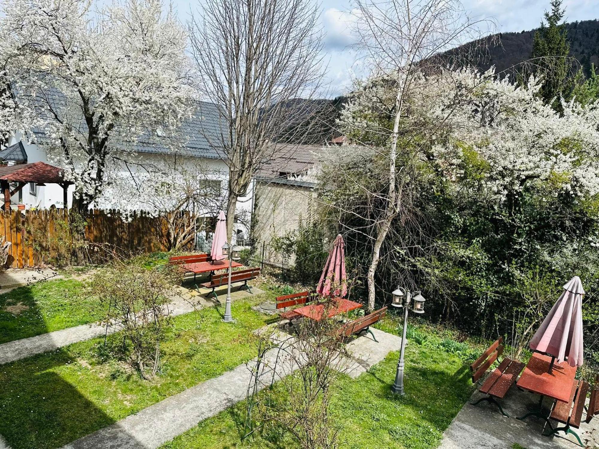 Rapsodia Sinaia Panzió Kültér fotó